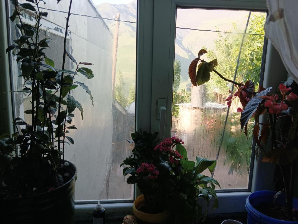 Ecomama In Xinaliq Khinalig Guest House Губа Экстерьер фото